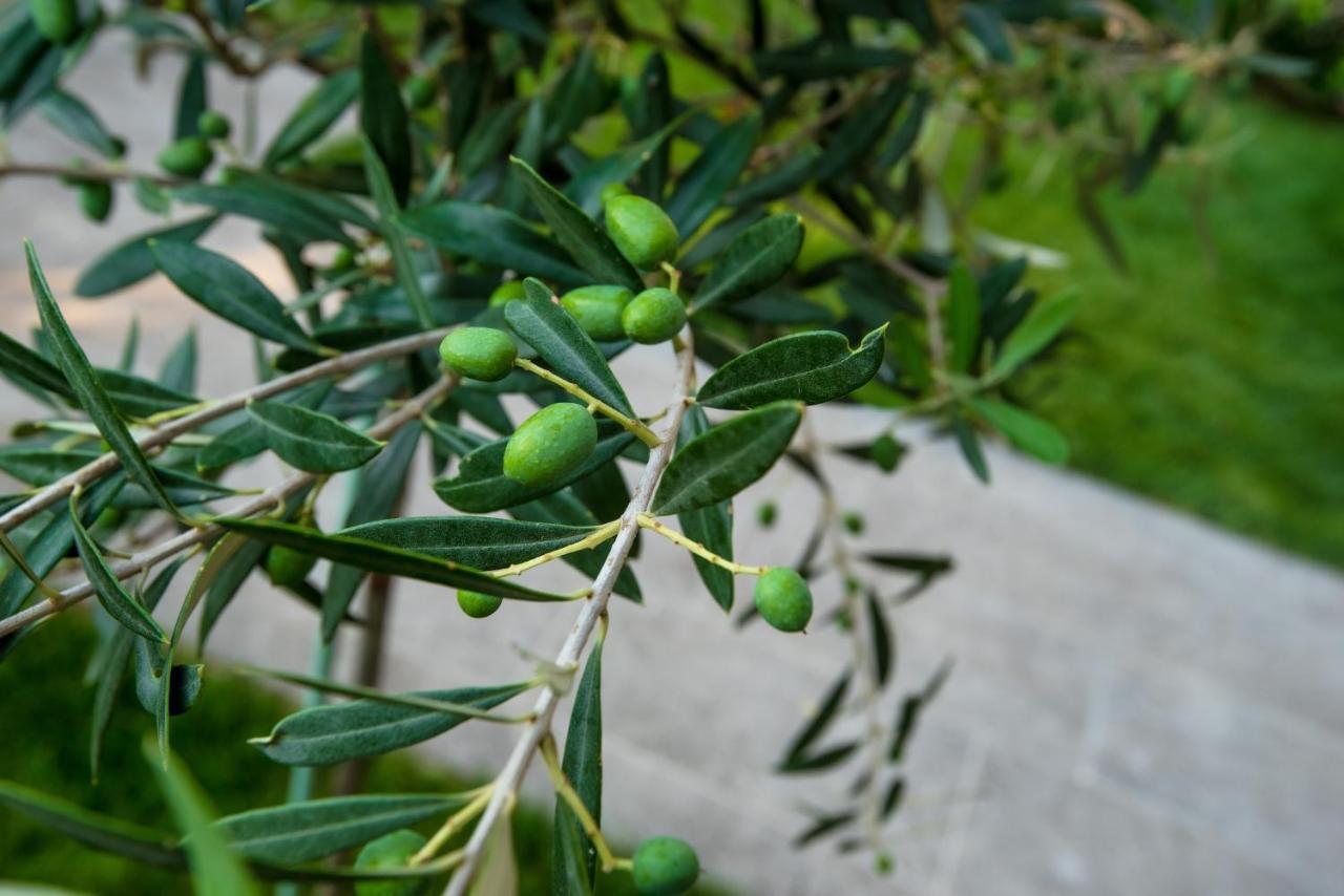 Olive 303 Lägenhet Peraía Exteriör bild